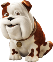 a cute bulldog friend